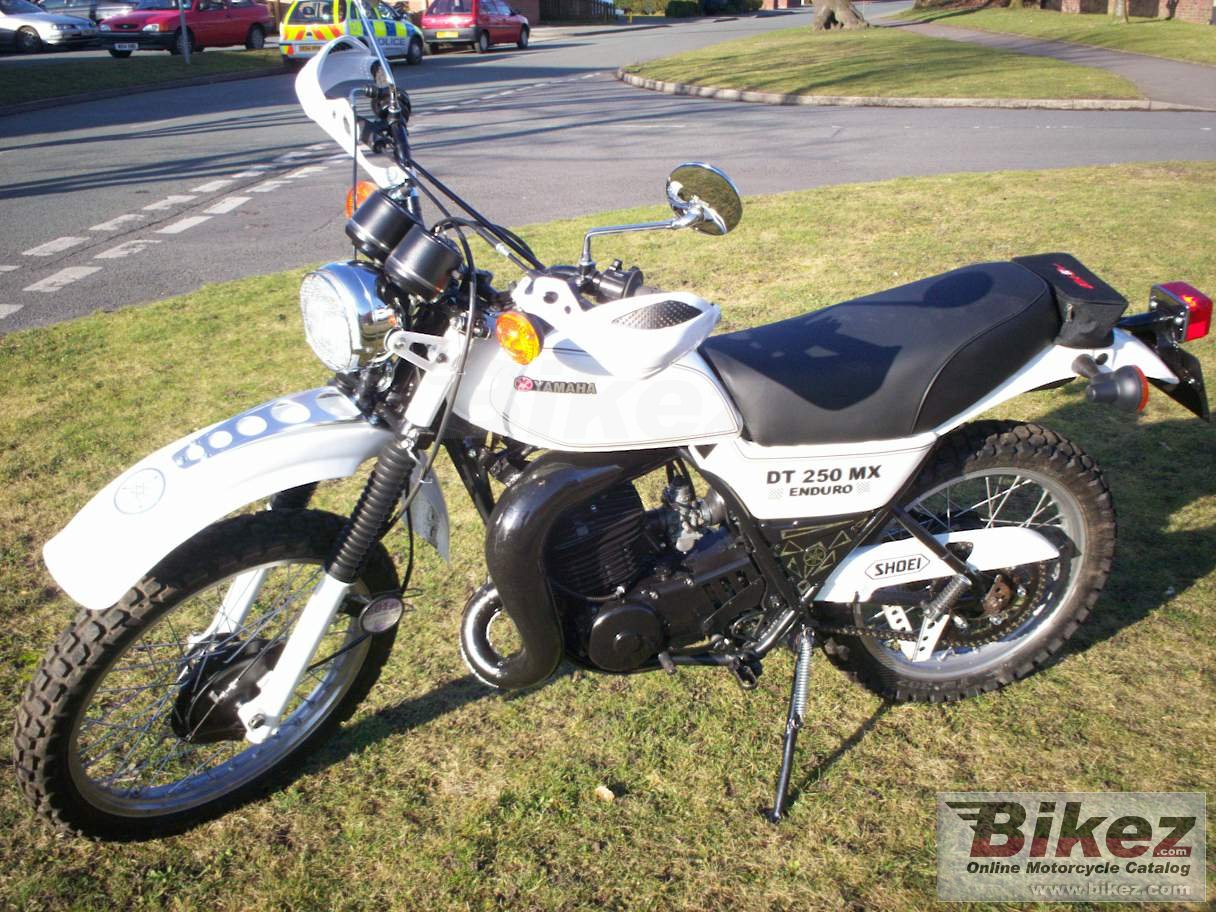 Big  dt 250 mx picture and wallpaper from Bikez.com